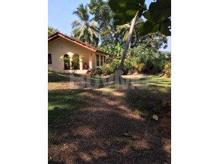 50 PERCHES VALUABLE LAND AND HOUSE FOR SALE IN THALPE HABARADUWA