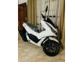 honda-pcx-2024-small-1