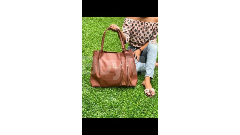 ladies-handbag-light-brown-big-0