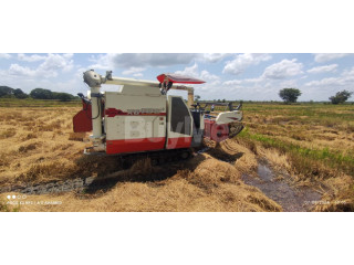 HARVESTER LUCKY STAR 2022