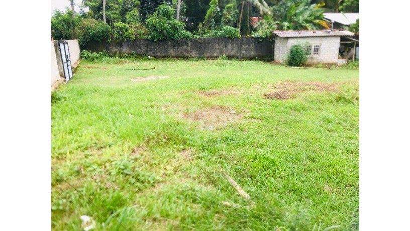 land-for-sale-in-ragama-big-2