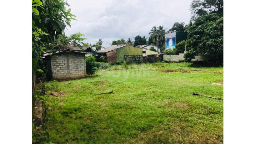 land-for-sale-in-ragama-big-3