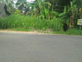 8-p-land-for-sale-in-dehiowita-eheliyagoda-main-road-small-2