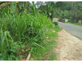 8-p-land-for-sale-in-dehiowita-eheliyagoda-main-road-small-1