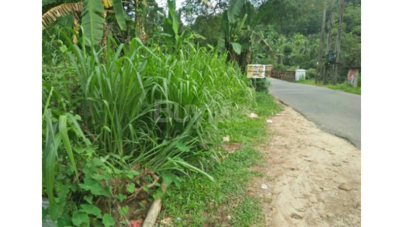 8-p-land-for-sale-in-dehiowita-eheliyagoda-main-road-big-7