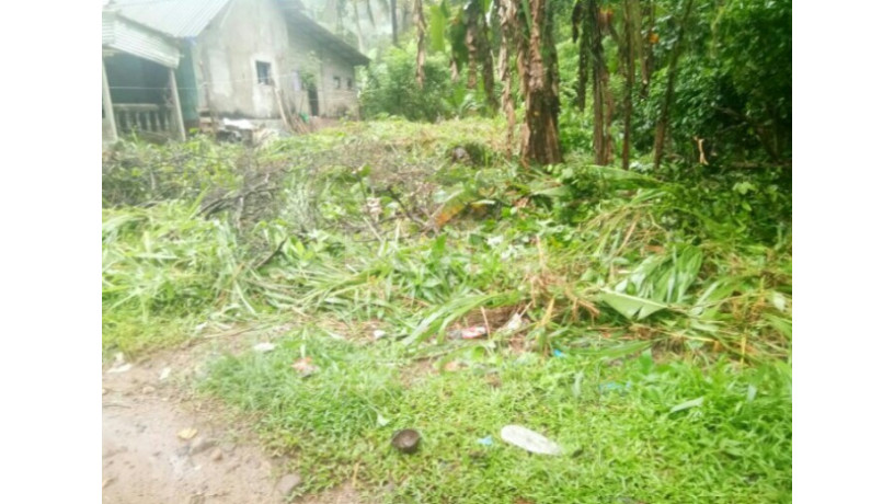 8-p-land-for-sale-in-dehiowita-eheliyagoda-main-road-big-6