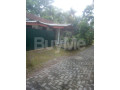 house-for-sale-in-nittambuwa-small-0
