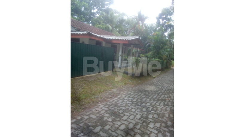 house-for-sale-in-nittambuwa-big-0