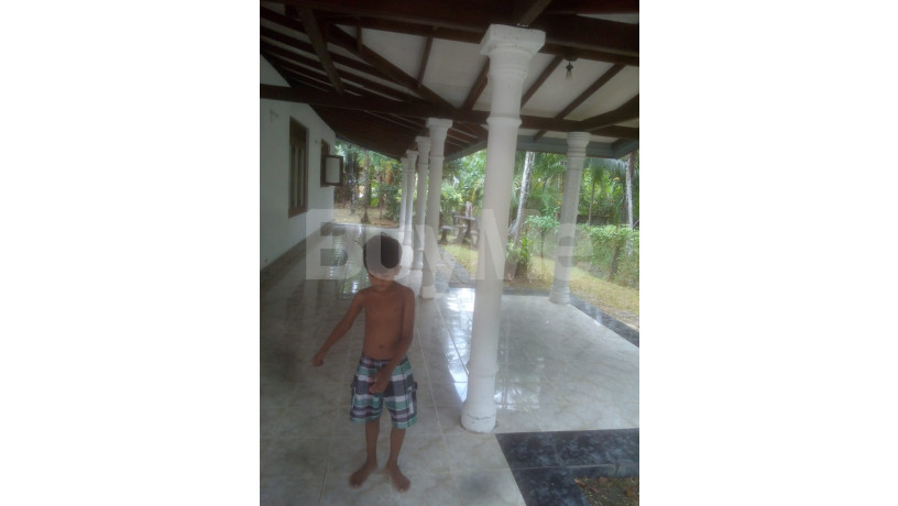 house-for-sale-in-nittambuwa-big-7