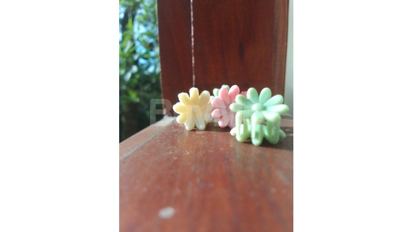 mini-hair-clip-big-2