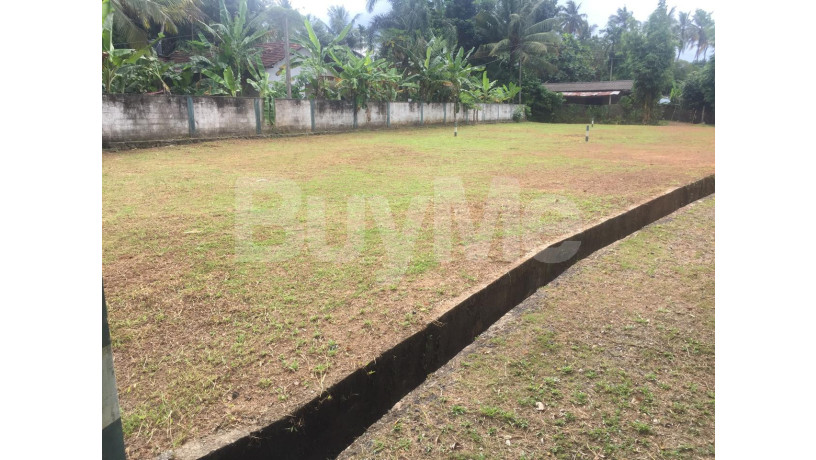 land-for-sale-in-weliveriya-ran-niyara-by-savi-lands-big-0