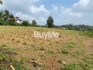 LAND FOR SALE IN KALUTARA