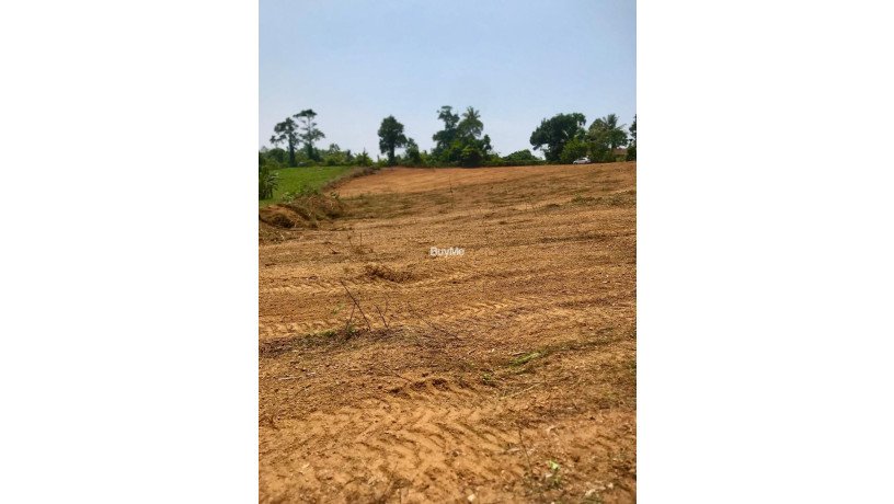 land-for-sale-in-kalutara-big-3