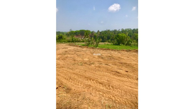 land-for-sale-in-kalutara-big-2