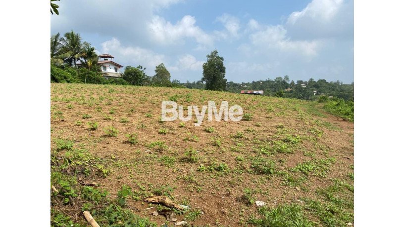 land-for-sale-in-kalutara-big-0