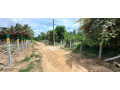 land-for-sale-in-anuradhapura-road-puttalam-small-2