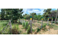 land-for-sale-in-anuradhapura-road-puttalam-small-5