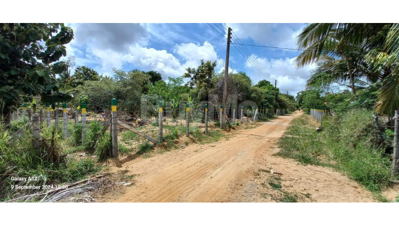 land-for-sale-in-anuradhapura-road-puttalam-big-7