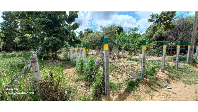 land-for-sale-in-anuradhapura-road-puttalam-big-5