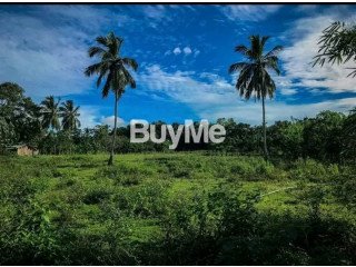 LAND FOR SALE IN SITINAMALUWA HAMBANTOTA