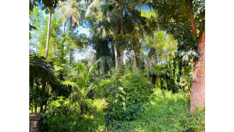 valuable-land-for-sale-in-ja-ela-big-5