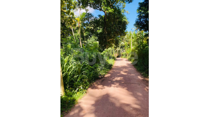 valuable-land-for-sale-in-ja-ela-big-3