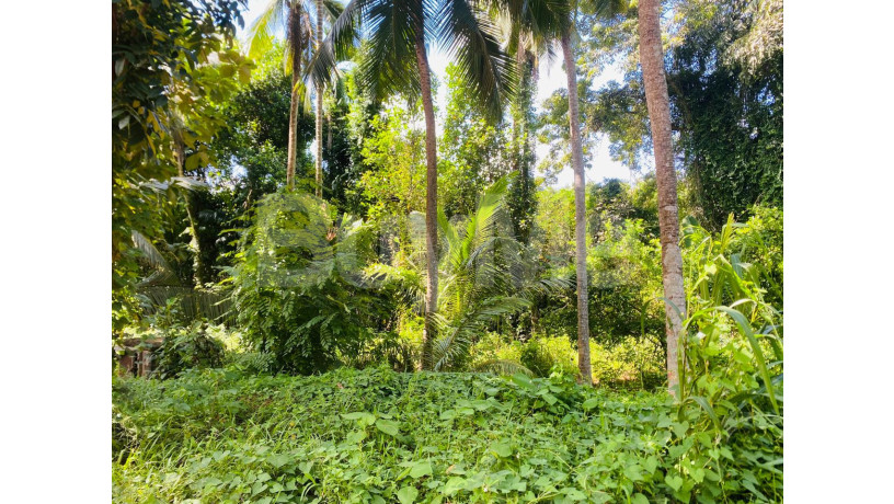 valuable-land-for-sale-in-ja-ela-big-2