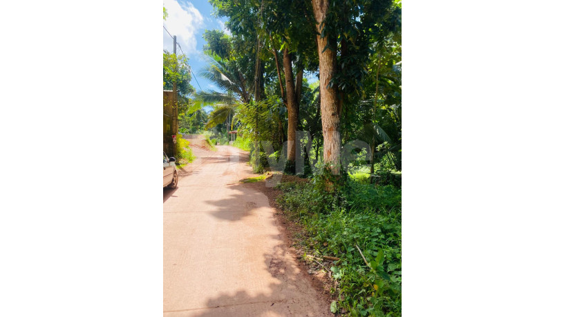 valuable-land-for-sale-in-ja-ela-big-1