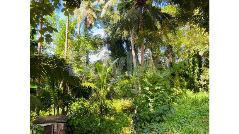 valuable-land-for-sale-in-ja-ela-big-4