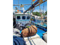 niel-marine-boat-small-3