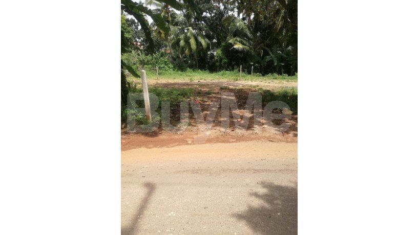 valuable-land-for-sale-in-galle-big-1