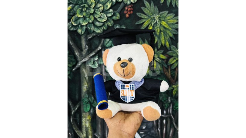 graduation-teddy-bear-graduation-gift-degree-bear-24cm-white-big-0