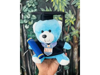 GRADUATION GIFT DEGREE BEAR - 24CM TEDDY BEAR - BLUE