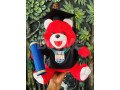 graduation-teddy-bear24cm-red-small-0