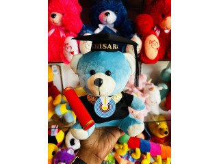 UNIVERSITY CONVOCATION TEDDY BEAR GIFT (24CM) - BLUE