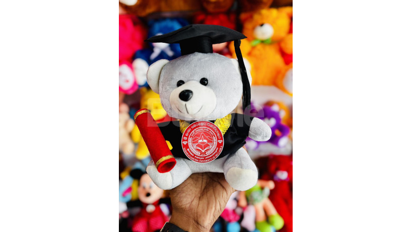 graduation-gift-degree-teddy-bear-university-convocation-gift-24cm-big-0