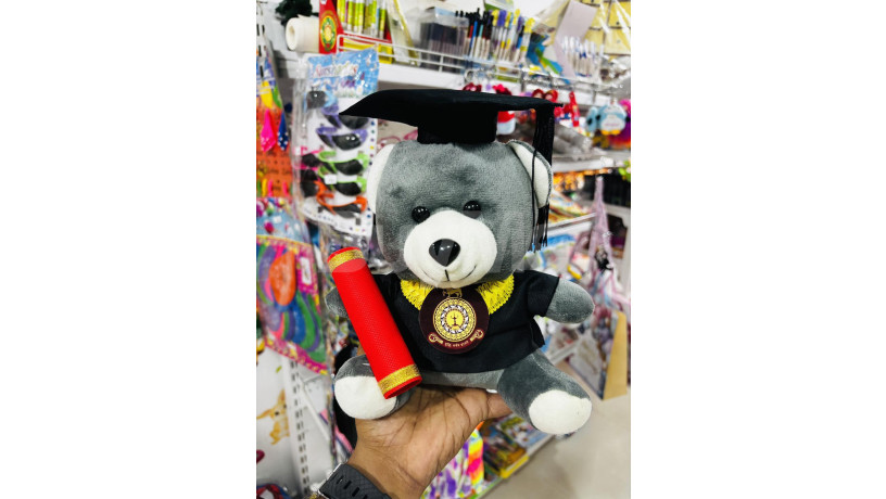 graduation-teddy-bear-design-24cm-ash-big-0