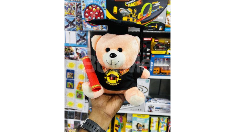 university-convocation-gift-teddy-bear-big-0