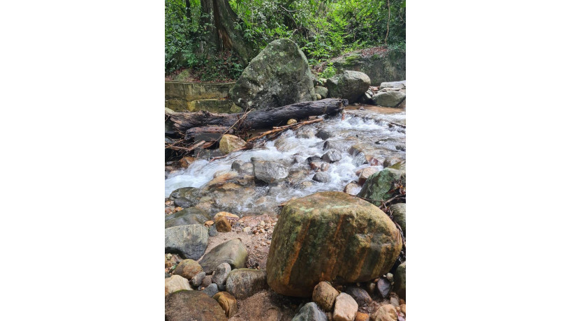 land-for-sale-in-nikapotha-haputale-big-3