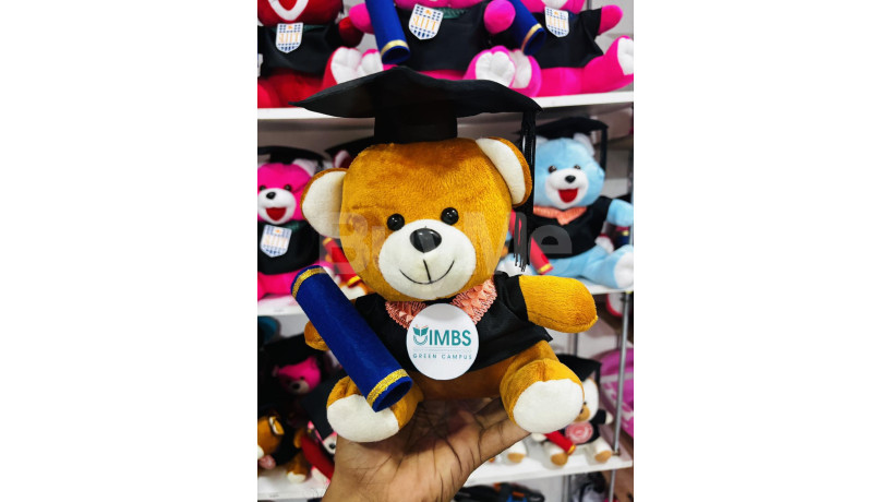 university-convocation-gift-24cm-teddy-bear-imbs-big-0