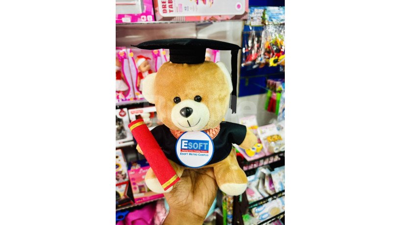 university-convocation-teddy-bear-gifts-24cm-big-0