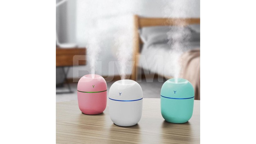 mini-portable-humidifier-p00917-big-0