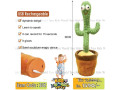 dancing-cactus-talking-plush-toy-with-singing-recording-function-rechargeable-small-0