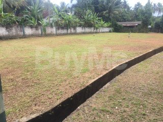 LAND FOR SALE IN WELIVERIYA - RAN NIYARA BY SAVI LANDS