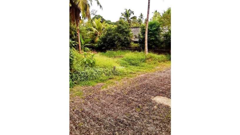 land-for-sale-in-malabe-susilarama-road-big-1