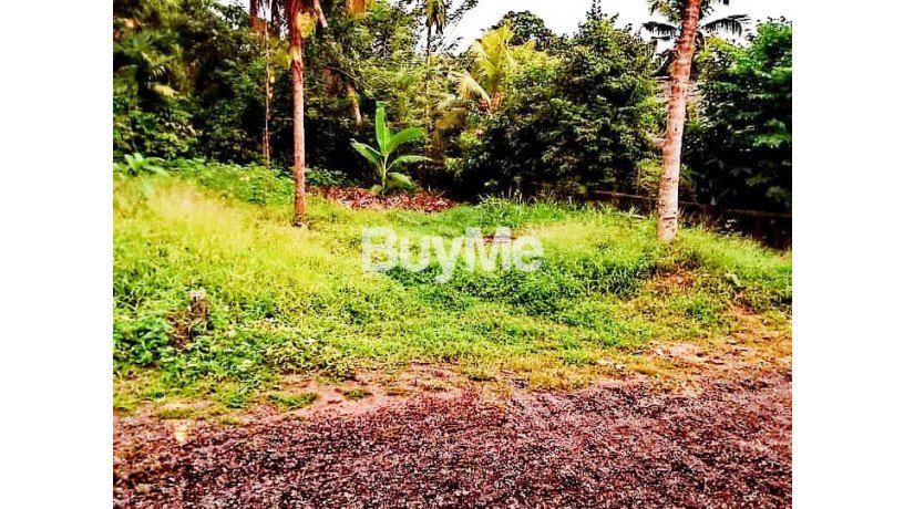 land-for-sale-in-malabe-susilarama-road-big-0