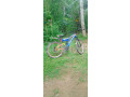 kenton-bicycle-small-1