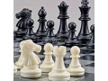 chess-board-magnetic-small-2