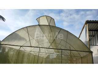 GREENHOUSE/ POLYTUNNEL HOUSE FOR SALE