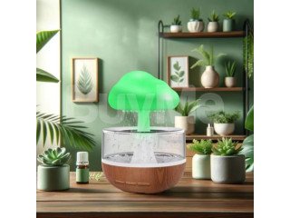 RAIN CLOUD HUMIDIFIER (P04753)